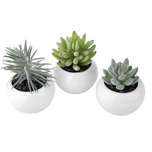3-Piece Artificial Succulent Plants in Mini Pots